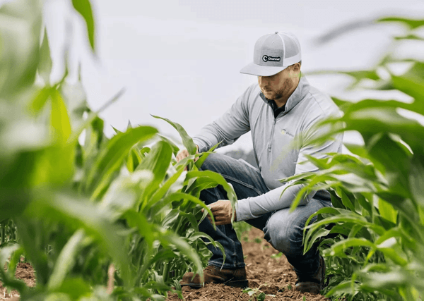 WORKING TOGETHER FOR SUSTAINABILITY